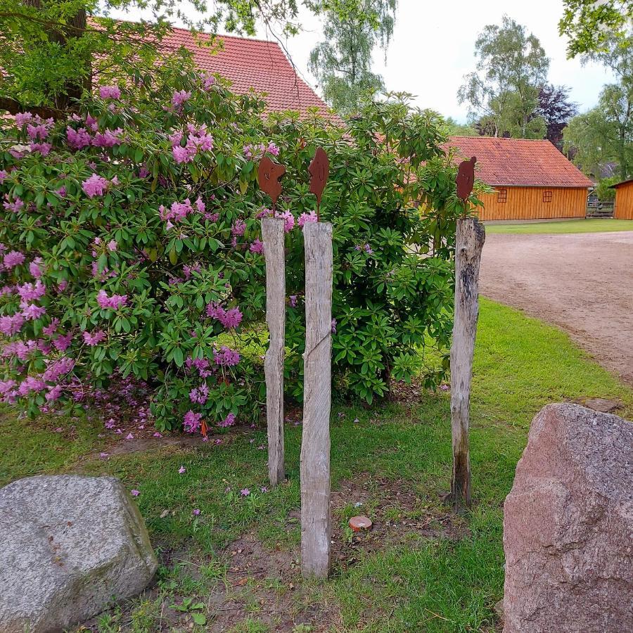 Apartamento Roehrshof Bispingen Exterior foto